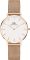 Daniel Wellington Petite Bundle 32 Stainlesss Steel Rose Gold